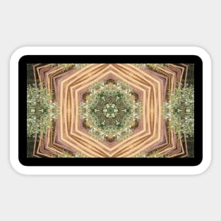 Bamboo abstract pattern Sticker